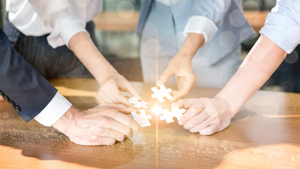 跨学科协同整合